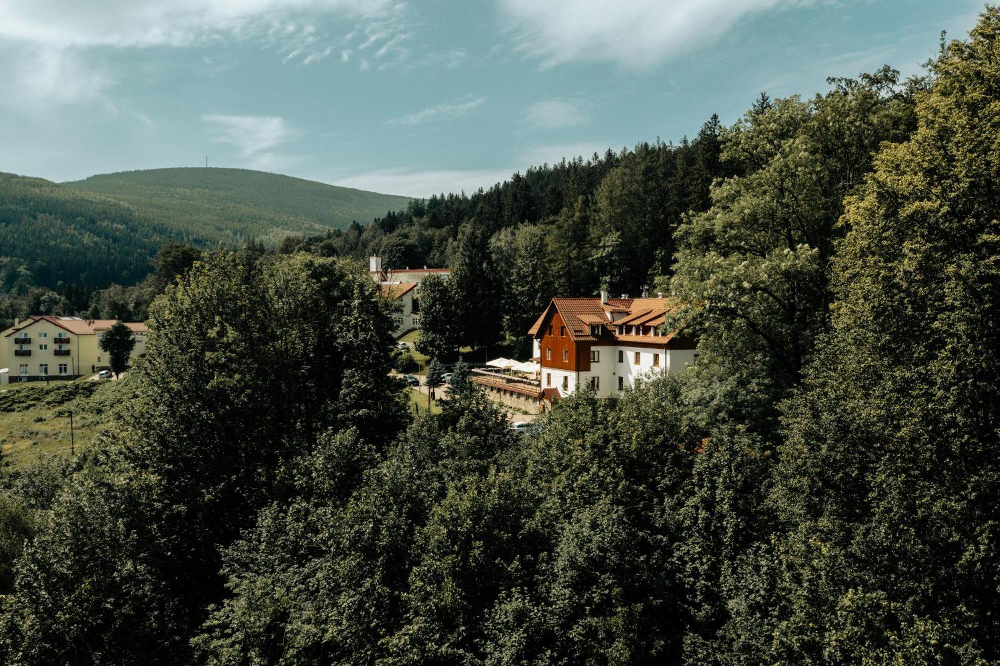 Hotel Le Mont Medical & Spa Świeradów-Zdrój Buitenkant foto